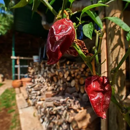 Finca Las Serenitas Villa *